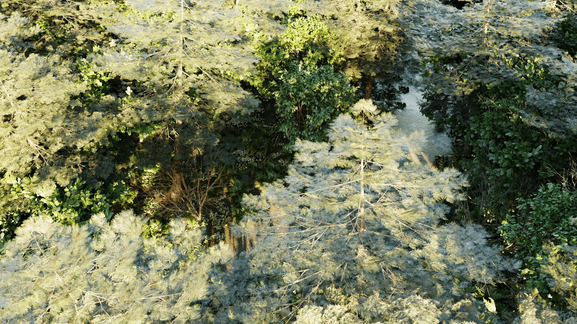 forest