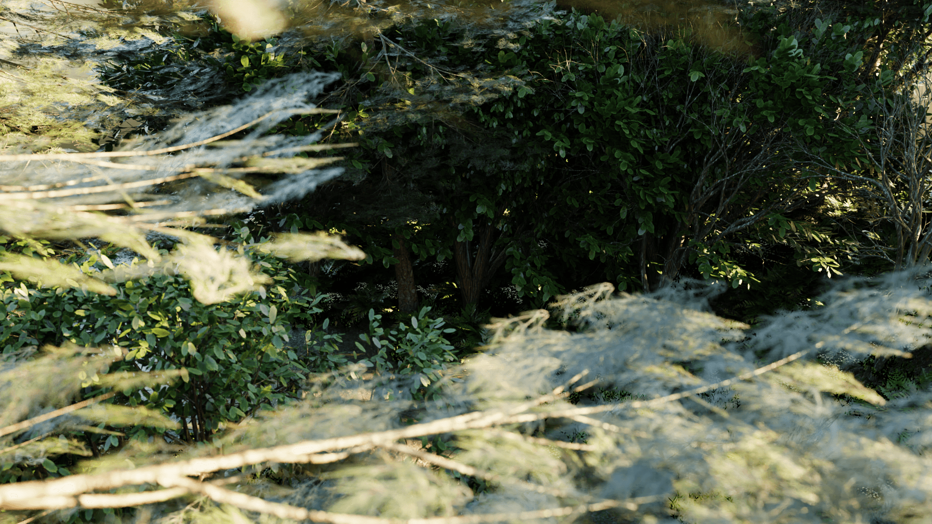 forest 2